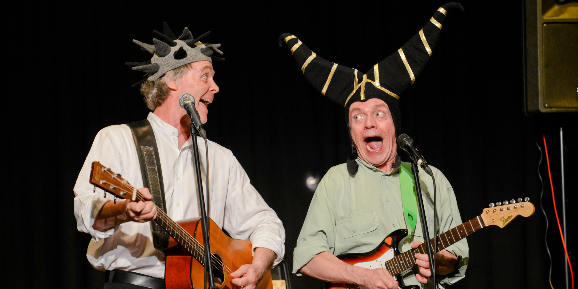 Mark n Simon MusiComedy