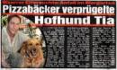 Zeitungsartikel AZ